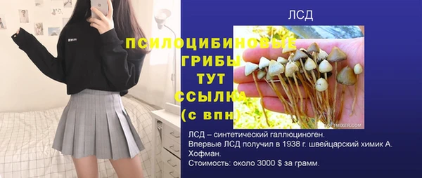 ECSTASY Абинск