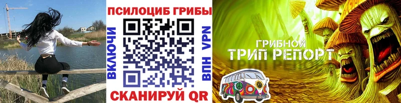 гидра онион  Белоусово  Псилоцибиновые грибы Psilocybe 
