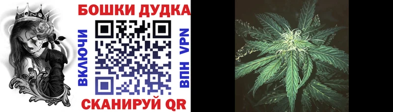 маркетплейс клад  где продают наркотики  Белоусово  Бошки Шишки ГИДРОПОН 